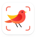 Picture Bird - Bird Identifier APK