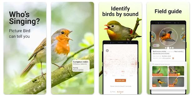 Picture Bird - Bird Identifier Android APK